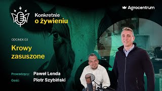 Żywienie krów zasuszonych