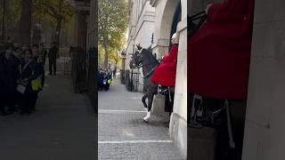 king’s Guard Horses!! Dancing Horse! 🐎  #horse #royalhorseguard #history #shorts #tiktok