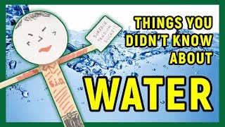 What You Didn't Know About Water: Science With Mike