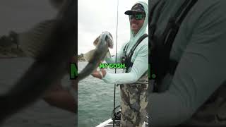 Big Fish Eats Giant Swimbait #Shorts