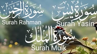 Surah yaseen ❤️Surah Rahman  ❤️ Surah Mulk❤️  Heart touching voice HD❤️