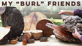 Collecting and Working with Burls