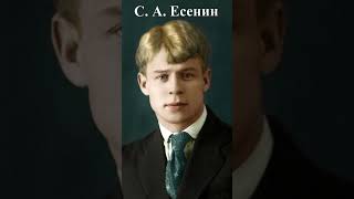 Психические расстройства русских классиков #искусство #есенин #пушкин #литература #стихи #россия