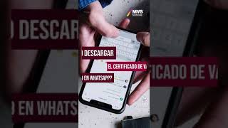 como descargar la constancia de vacaciones por whatsapp