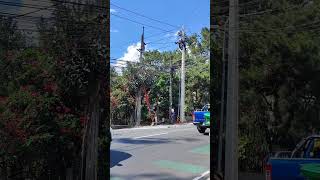 @UPPER SESSION ROAD: BUSY DAY OF ELECTRICAL LINEMEN REPLACING ELECTRICAL WIRES #shorts