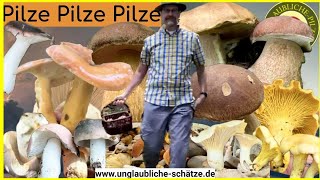 Pilze! Pilze! Pilze! Jetzt suchen! Leckere Pilztour und tolle Pilz Funde im Juli 2024