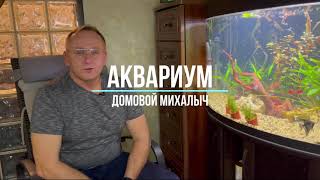 Аквариум с нуля! личный опыт!