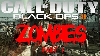 Call of Duty Black Ops 2 Zombies on Tranzit PART 1