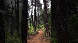 Part 3 | Perjalanan Pendakian Puncak Sangar⛰ Kira2 gimana ya ceritanya? #tektok #gunungsangar