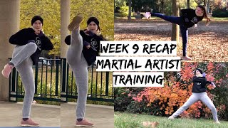 Week 9 Recap - Martial Artist Training