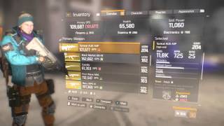 The Division NEW LEVEL 32 AUG GOD ROLL Almost. Best high end AUG roll