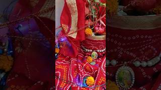 Tulsi vivah🙏 | tulsi vivah puja #shorts #tulsivivah #tulsi #shaadi #krishna #radhekrishna #vivahgeet