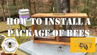 How To Install a Package of Honeybees | #howto #beekeeping #honeybee