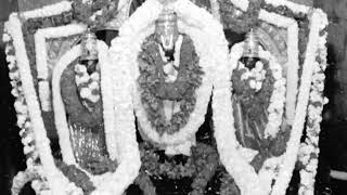 kari perumal swami darshan