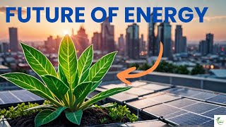 Is Artificial Photosynthesis the Future of Energy? | Ingenius Nature