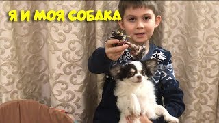 Танцующая собака