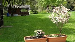 NATUR WIE IM URLAUB - Stadtgrenze Leichlingen - EBK - Garage