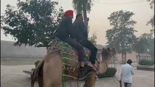 my frist camel ride with Virenderpreet singh. voice parry maan