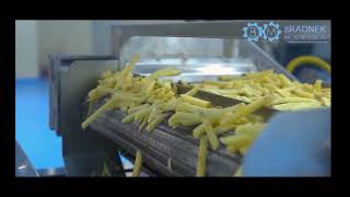 خط انتاج بطاطس نصف مقلية  French Fries Production Line