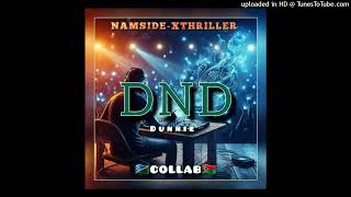 D N D(Namside & Xthriller Remix)_DUNNIE