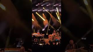 Phish Bethel Woods 2024 #youtubeshorts #concert #phish #shorts #jam