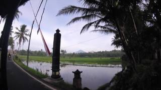 Horse Cart Ride in Indonesia