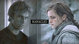 Manacled - Hermione Granger x Draco Malfoy [AU] // Here with me