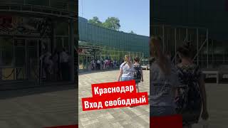 #краснодар #воина #слава #музей