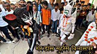 Sher Dance Muharram 7 Tarik Bilaspur 2023 - Sher Baja