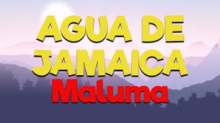 Maluma - Agua de Jamaica [Letra/Lyrics] | Entre tu cuerpo, encuentro vida