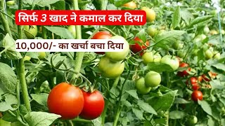 Tamatar ki kheti | NPK fertilizer | Low cost fertilizer | Tomato farming | #Aasankheti