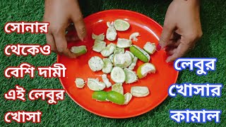 লেবুর খোসা সবসময় এইভাবে ফেলে না দিয়ে সংসারের কাজে লাগিয়ে দেখো // Lemon peel