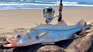 COMO pescar RÓBALOS de PLAYA || TIPS DE PESCA || pesca de ORILLA.