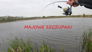 MAJOWE SZCZUPAKI NA SPINNING Z BRZEGU / PRZYNETY GUMOWE / SPRAWDZAM MAŁE JEZIORKO