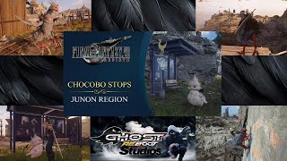 FF7 Rebirth Junon's Chocobos & Baby Choco’s