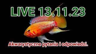 AKWARYSTYCZNE PYTANIA i ODPOWIEDZI / LIVE akwarystyczny 14.11.23 /  #aquascapingtv