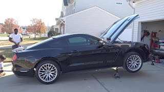 2016 Mustang GT:  Eibach Sportline Springs