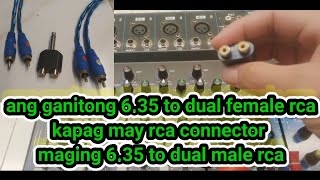 ang ganitong 6.35 to dual female rca,kapag may rca connector maging 6.35 to dual male rca