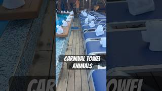 Favorite day on ship is the towel animal display last port day #carnival #carnivalcruise #cruise