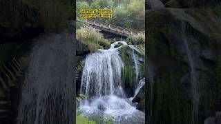 Germany‘s highest waterfall - Triberg