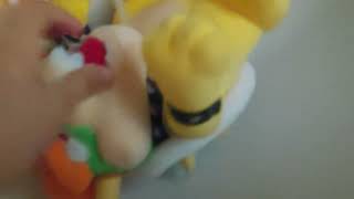 Bowser  gets  wet  and  Boser  Jr