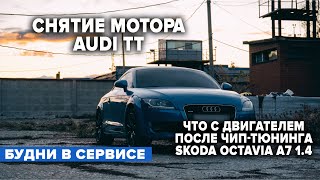 СНЯТИЕ МОТОРА AUDI TT. ЧТО С ДВИГАТЕЛЕМ ПОСЛЕ ЧИП-ТЮНИНГА НА SKODA OCTAVIA A7 1.4