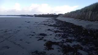 Metal detecting beach looking so good not much sand on it