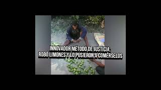 "INNOVADOR MÉTODO DE JUSTICIA: ROBÓ LIMONES Y LO PUSIERON A COMÉRSELOS"