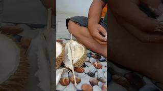 durian dengan kualitas terbaik cuma harganya murah  #durian #durianmusangking #duriandurihitam