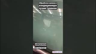 Дезодорация - полное удаление посторонних запахов в салоне авто Madcat Customs