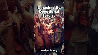 Detached By Devotional Service - Prabhupada 0549