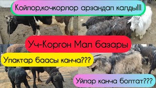 Уч-Коргон Мал базары, Кадамжай району,Баткен облусу!!! 03.02.2023!