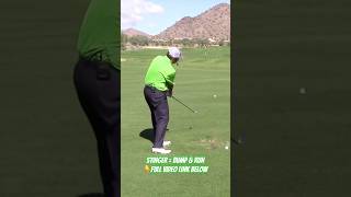 There is a short remix of a full instructional video on how to hit the stinger. Simple is better￼￼￼