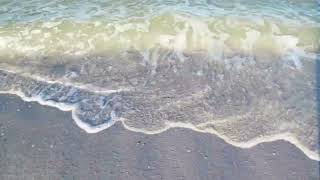 Gulf of Mexico beach waves in Naples Florida #southwestflorida #beachsounds #naturesounds #peace